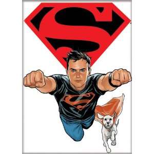  DC Comics Superman Superboy Magnet 20310DC Kitchen 