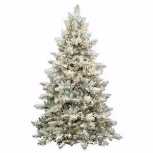  Vickerman 11989 7.5 x 62 Flkd Idaho 750 Frosted CL Lts 