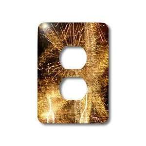  Florene Fire Works   Grand Finale   Light Switch Covers 