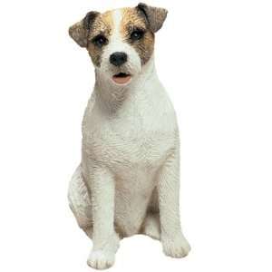  Jack Russell Terrier   Mid Size 