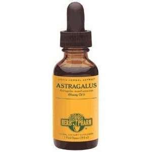  Astragalus 8 oz