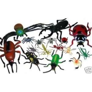   Insects Large and Small Ants Spiders, Beetles Scorpions Toys & Games