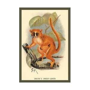  Smiths Dwarf Lemur 20x30 poster