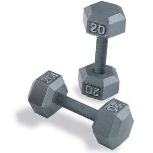 NEW SDS550 Body Solid Gray Hex Dumbbell Weight Set 5 50 Pound Pairs 