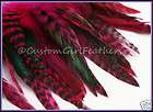 Pack of 50 75 Beautiful Hot Pink Grizzly Strung Feathers 5 7