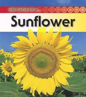   Sunflower by Angela Royston, Heinemann  Paperback 