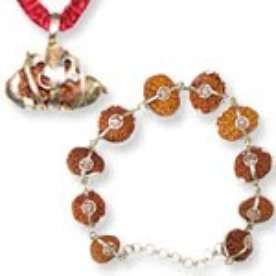   Indrakshi mala  Large size beads of One mukhi till 21 mukhi beads