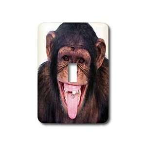 TNMGraphics Animals   Laughing Monkey   Light Switch Covers   single 
