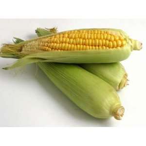 Corn Cob Media   40lbs Fine Grit  Industrial & Scientific