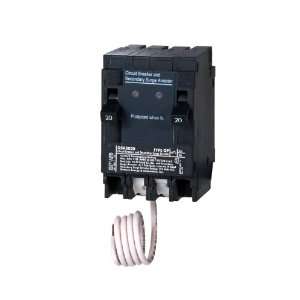   Surge Protection with Two 20 Amp Circuit Breakers