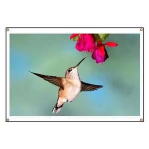  Banner Black Chinned Hummingbird 