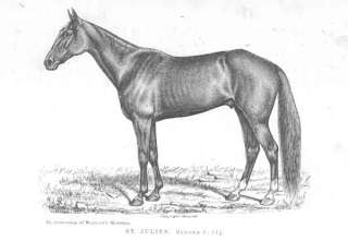 HORSES ST. JULIEN. A Trotter. Antique Print. 1882  