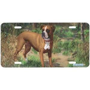 5381 Squirrel Patrol Boxer Dog License Plate Car Auto Novelty Front 