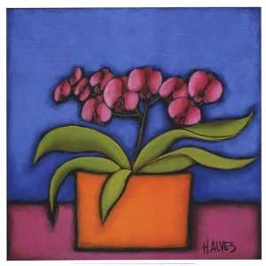  Orquidia Rosa by H. Alves 16x16