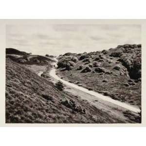  1930 Rebild Hills Bakker Park Jutland Danish Landscape 