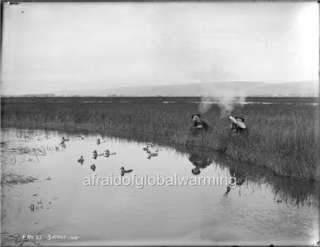 Photo 1890s Duck Hunters Decoys Shooting in Marsh  