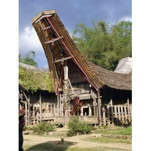 Typical House and Granary, Toraja Area, Sulawesi, Indonesia Stretched 