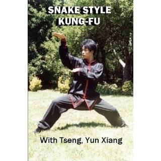  wudang kung fu