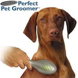  Perfect Pet Groomer 