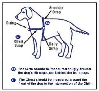 The Chest measurement is typically 1/2 of the Girth. Some breeds 