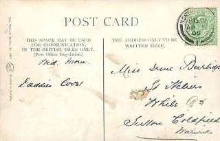   Signed 1905 Elf Mushroom Frogs Dancing Beetle Vintage Postcard  