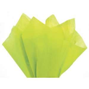  Citrus Green Tissue Paper 100 Sheets 15 X 20 Health 