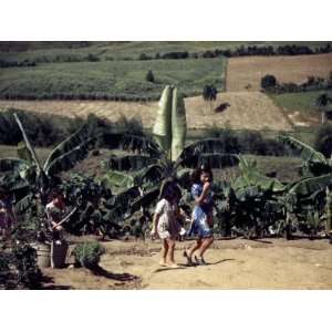  Puerto Rico. Children of Tenant Farmers, Puerto Rico. 1941 