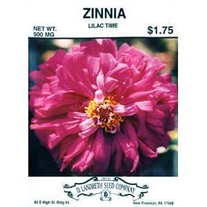  Lilac Time Zinnia Seeds Patio, Lawn & Garden