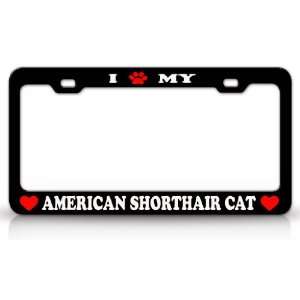  I PAW MY AMERICAN WIREHAIR Cat Pet Animal High Quality 