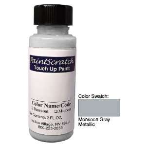  2 Oz. Bottle of Monsoon Gray Metallic Touch Up Paint for 