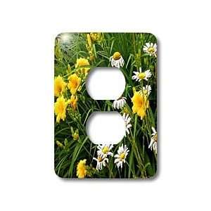  Edmond Hogge Jr Floral   Lilys and Daisys   Light Switch 