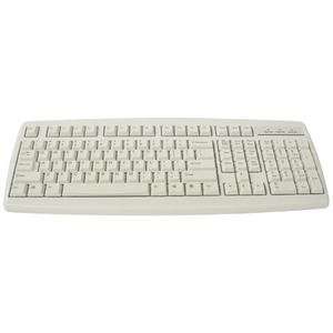  AOpen KB 858   keyboard ( 90.00029.858 ) Electronics