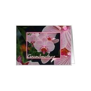 Grandparents Day, For Grandmother Pink Orchids Card 