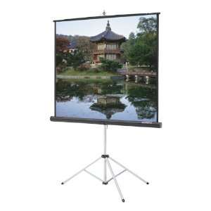   Widescreen Format Matte White 80 W x 45 H