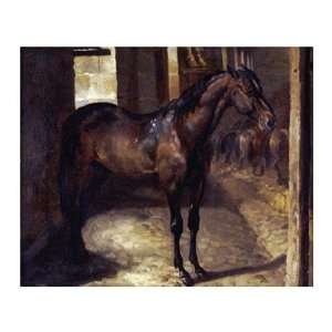  Anglo Arabian Stallion In The Imperial Stables at 