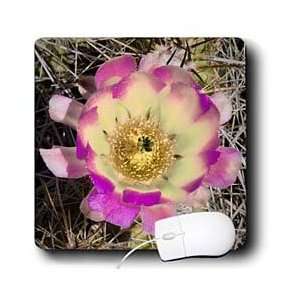   gold red green flower abstract cartoon   Mouse Pads Electronics