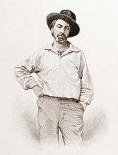 Walt Whitman, age 37, frontispiece to Leaves of Grass , Fulton St 