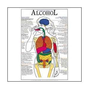 Harmful Effects Of Alcohol Anatomical Chart Laminated  