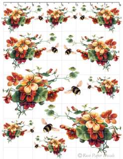 De VF 102 Shabby Vintage Style wild Rose w/Bee 10 Chic Decals