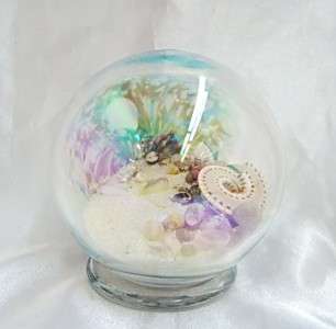 New Hand Blown Abalone Glass Seashell Sand Float 4  