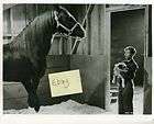 SAD HORSE 1959 David Ladd Chill Wills 16mm  
