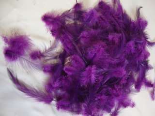 80+ Beautiful Purple Rooster Saddle Hackle Feathers. The Feathers 
