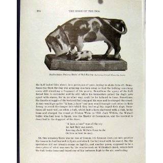 Staffordshire Pottery Model Bull Baiting Old Print Art