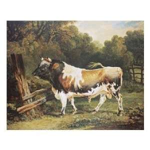  James Ward   A Bull Of The Alderney Breed Giclee