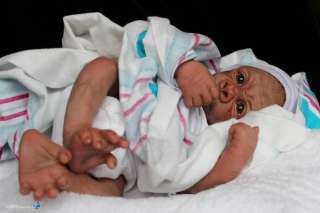 HBN* PROTOTYPE OOAK Reborn Baby Gorilla/Monkey ~ KIWI By Denise Pratt 
