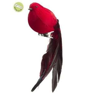  7 Long Tailed Bird w/Clip Red (Pack of 12)