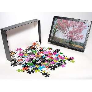   blossom and lake at Ueno koen park from Robert Harding Toys & Games