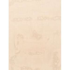  Fabricut FbC 3510807 Tip Top   Khaki Fabric Arts, Crafts 