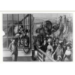  Historic Print (M) [An animal keeper feeding raw meat to 