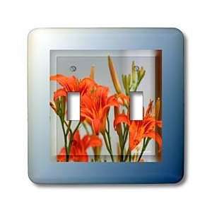 SmudgeArt Photography Art Designs   Orange Day Lilies   Light Switch 